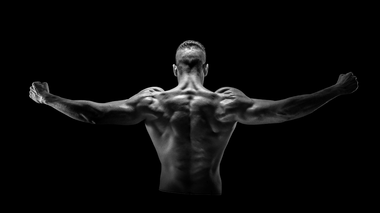 how to gain a mindset that makes you successful